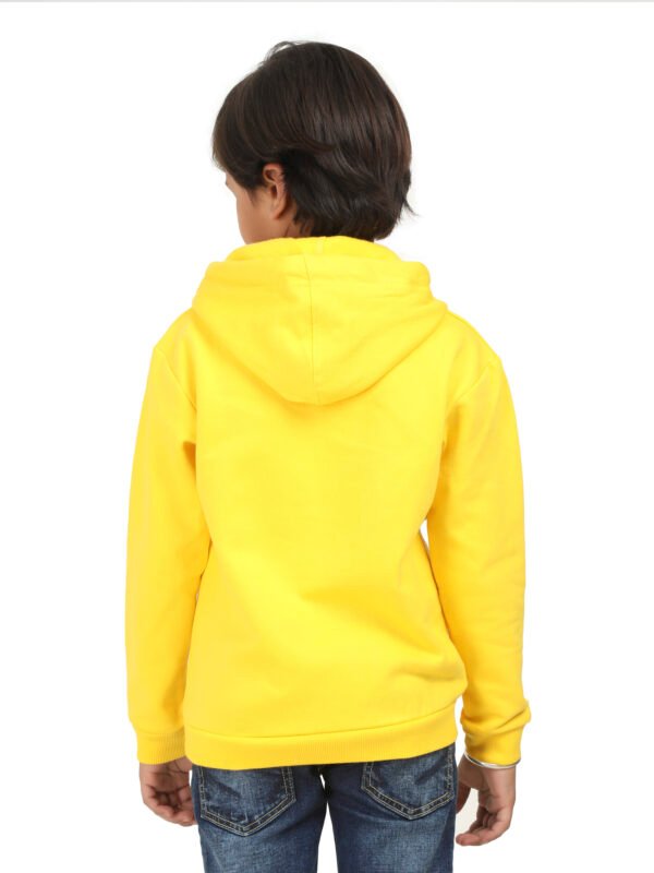 KIDS 100 % COTTON BIO WASHED EMB (CR-07) FLEECE HOODIES - Image 3