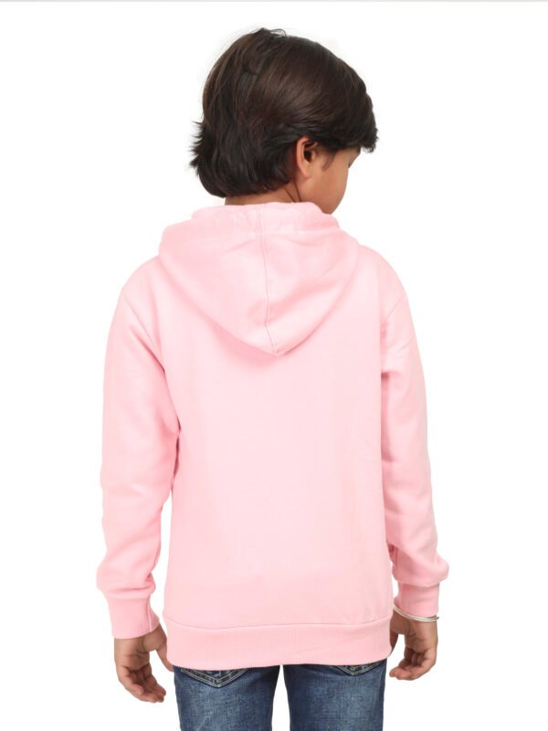 KIDS 100 % COTTON BIO WASHED EMB (CR-07) FLEECE HOODIES - Image 3